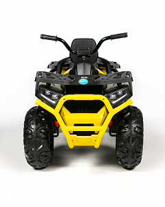  Детский электроквадроцикл - 2WD